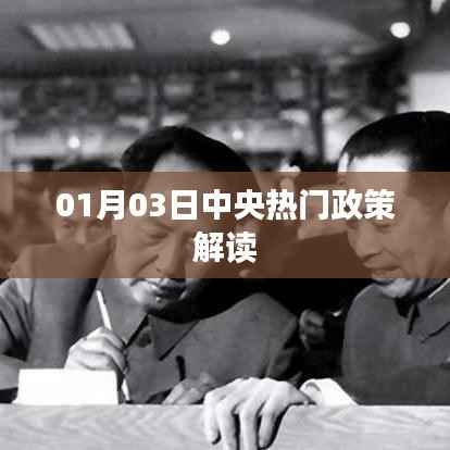 中央热门政策解读，最新动态与深度剖析（日期，01月03日）