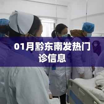 黔东南州一月发热门诊信息概况