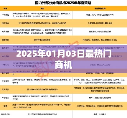 把握未来商机,2025年热门商机展望