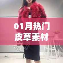 时尚皮草素材精选,一月热门流行趋势