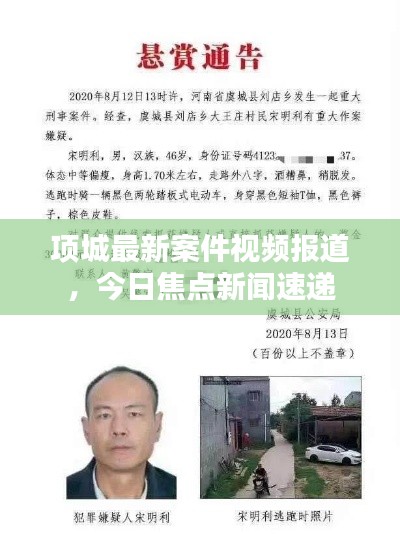 项城最新案件视频报道,今日焦点新闻速递
