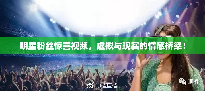 明星粉丝惊喜视频,虚拟与现实的情感桥梁!