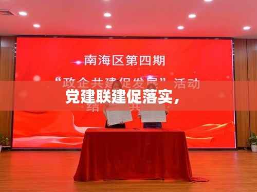 党建联建促落实,