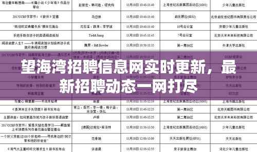 望海湾招聘信息网实时更新,最新招聘动态一网打尽