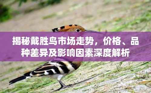 穷鸟入怀 第3页