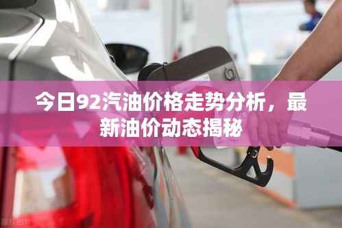 今日92汽油价格走势分析,最新油价动态揭秘