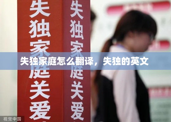 失独家庭怎么翻译,失独的英文
