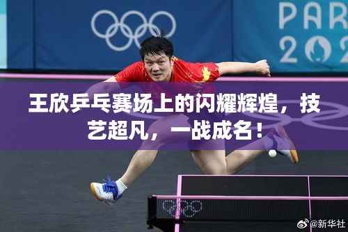 王欣乒乓赛场上的闪耀辉煌,技艺超凡,一战成名!