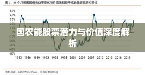 国农能股票潜力与价值深度解析