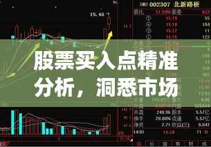 股票买入点精准分析,洞悉市场趋势,掌握投资先机