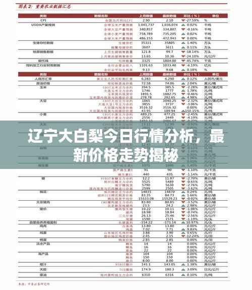 秀外慧中 第3页