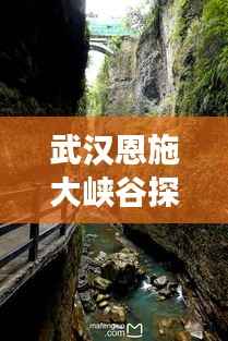 仓储物流园 第160页