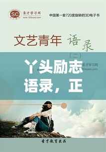 金石为开 第3页