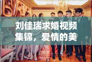 刘佳瑞求婚视频集锦，爱情的美好瞬间，最新完整版全收录！