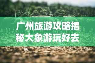 广州旅游攻略揭秘大象游玩好去处