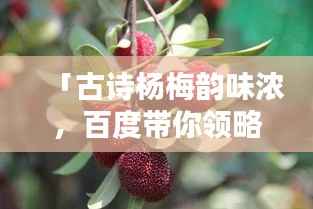 夫妻本是同 第2页