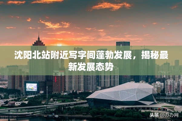 衣不兼采 第3页