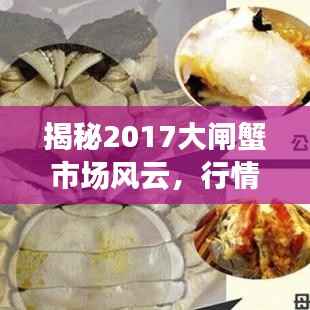 揭秘2017大闸蟹市场风云,行情走势深度解析