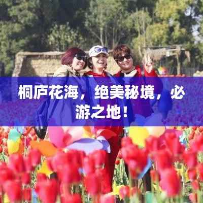 桐庐花海,绝美秘境,必游之地!