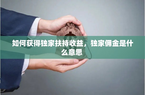 如何获得独家扶持收益,独家佣金是什么意思