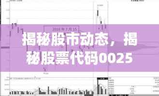 揭秘股市动态，揭秘股票代码002549每日行情分析