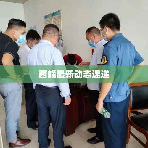 西峰最新动态速递