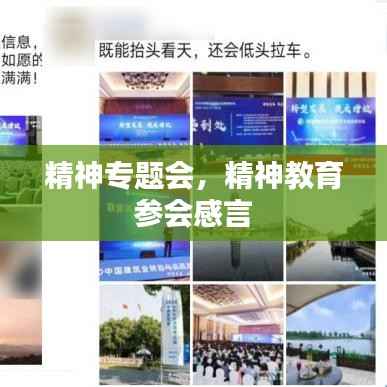 精神专题会，精神教育 参会感言 