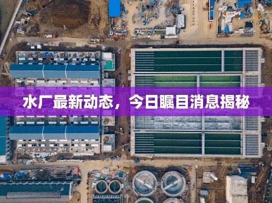 水厂最新动态,今日瞩目消息揭秘