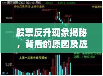 程门飞雪 第2页