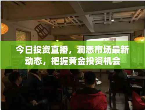 今日投资直播,洞悉市场最新动态,把握黄金投资机会