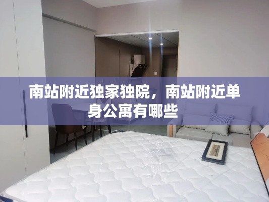 南站附近独家独院,南站附近单身公寓有哪些