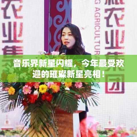 音乐界新星闪耀,今年最受欢迎的璀璨新星亮相!