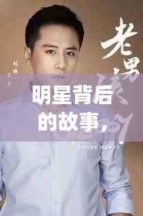 明星背后的故事,星光熠熠,探寻成功背后的秘密