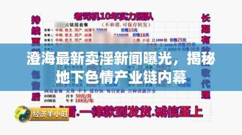 澄海最新卖淫新闻曝光,揭秘地下色情产业链内幕