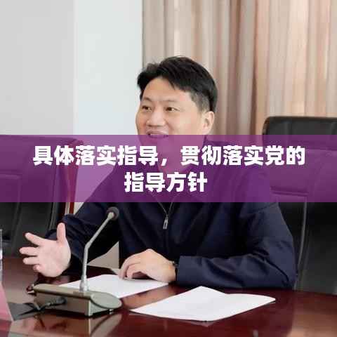 具体落实指导,贯彻落实党的指导方针