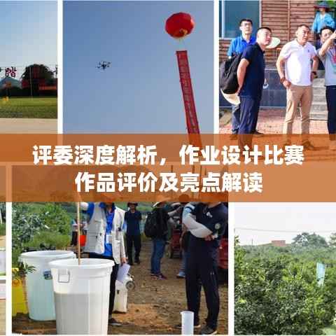 评委深度解析，作业设计比赛作品评价及亮点解读