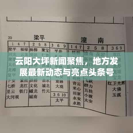 云阳大坪新闻聚焦，地方发展最新动态与亮点头条号