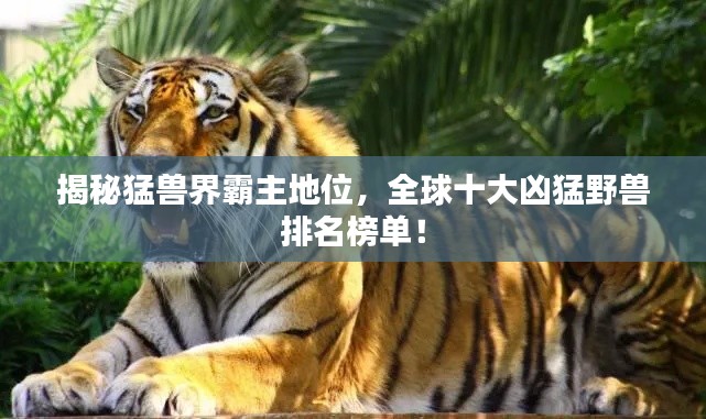 揭秘猛兽界霸主地位,全球十大凶猛野兽排名榜单!