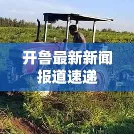开鲁最新新闻报道速递