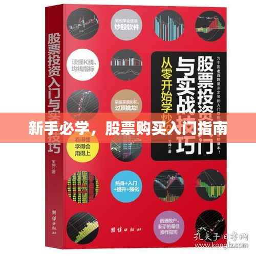 新手必学，股票购买入门指南