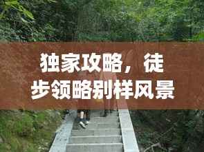 独家攻略,徒步领略别样风景,5公里徒步旅行体验分享