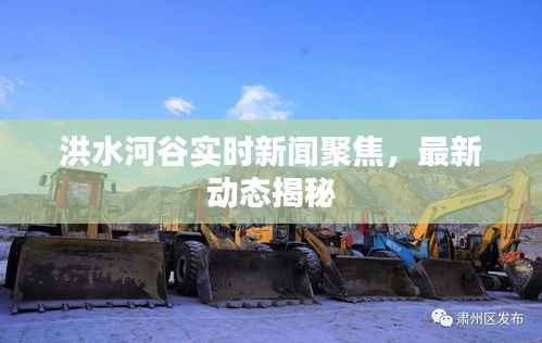 洪水河谷实时新闻聚焦,最新动态揭秘