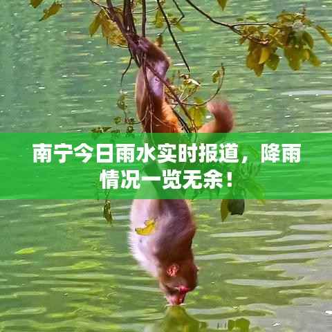 南宁今日雨水实时报道,降雨情况一览无余!